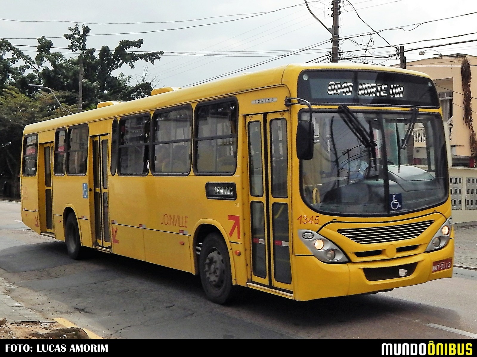 Transtusa - Transporte e Turismo Santo Antônio - Mundo Ônibus