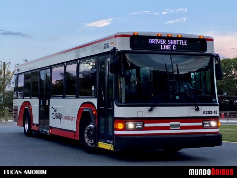 Disney Transport